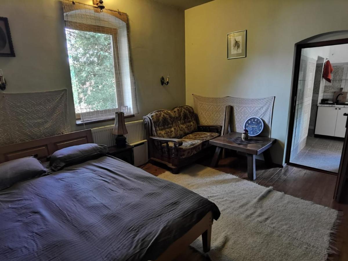 Vila Zia Hotel Corbeni Bagian luar foto