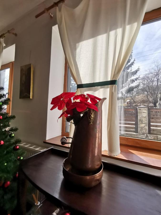 Vila Zia Hotel Corbeni Bagian luar foto